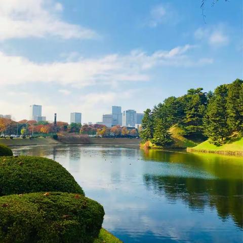 今日东京，都市中美丽的红叶。