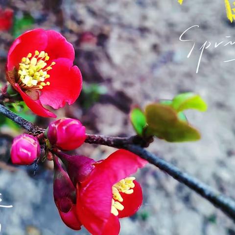劳动节快乐