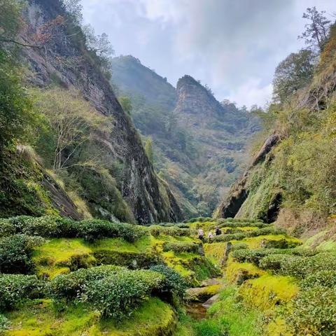 茶文化与现代生活结合