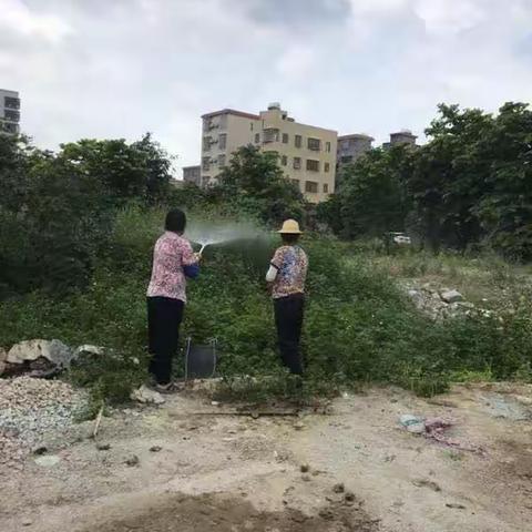 2019年6月17日竹一村人居环境整治工作简报：