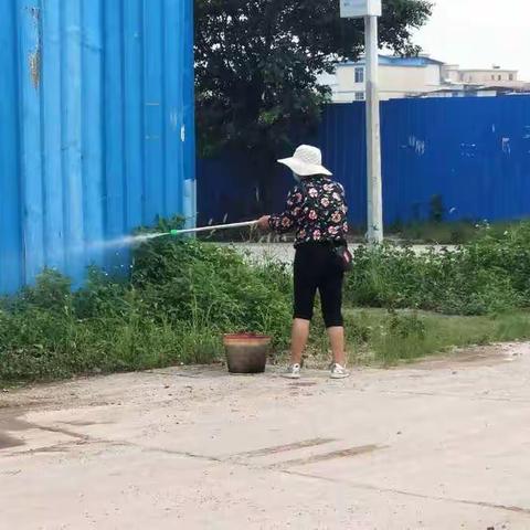 2019年6月4日竹一村人居环境整治工作简报：