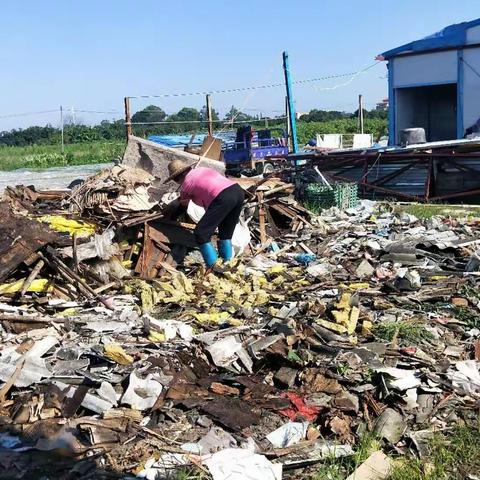 2019年6月14日竹一村人居环境整治工作简报：