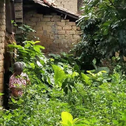 2019年6月9日竹一村人居环境整治工作简报：