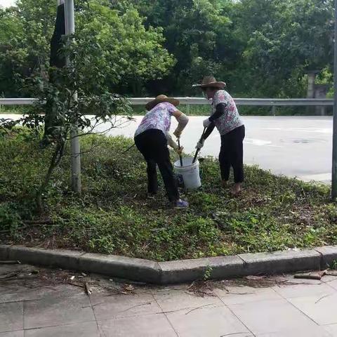 2019年6月8日竹一村人居环境整治工作简报：