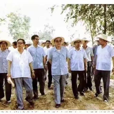 《家乡的记忆》（二）总理视察篇。