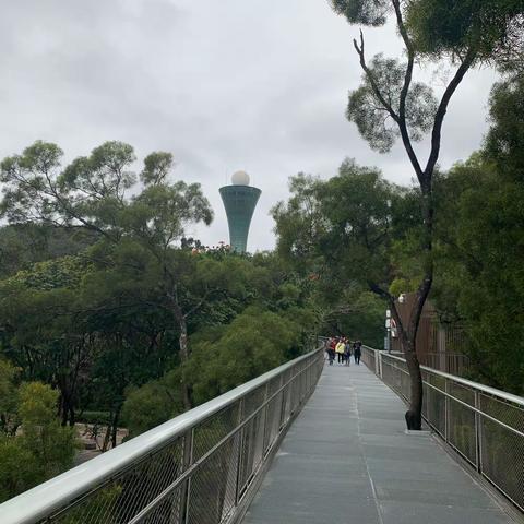 虎年，初三，雨后，第一次蹬山海步道……