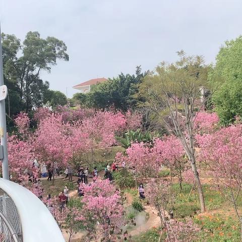 春分时节的厦门……