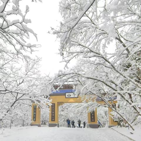 琼瑶世界 千山雪影剪辑 槐荫子诗联 梦嘟嘟摄影