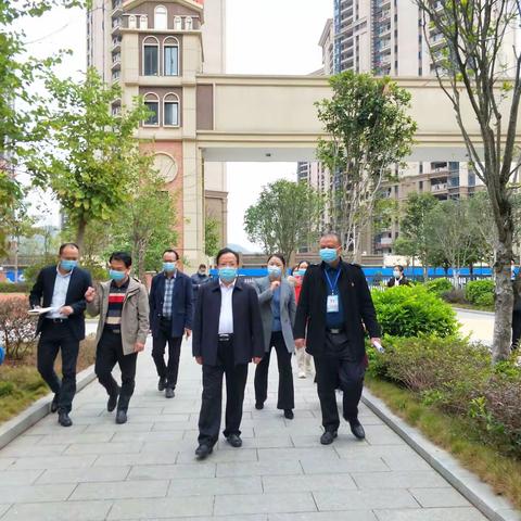 自治区教育厅调研组到梧州市苍海小学调研