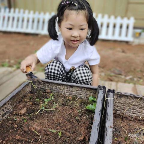 我是劳动小能手