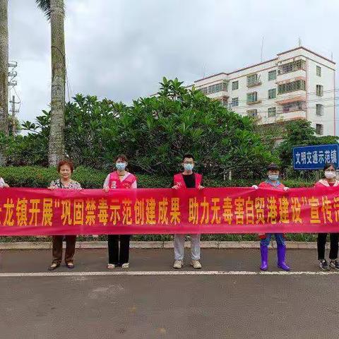 云龙镇开展­“巩固禁毒示范创建成果，助力无毒害自贸港建设”暨禁毒宣传进市场活动