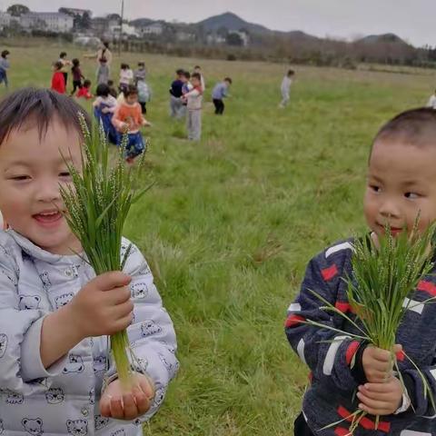 小班成长记录