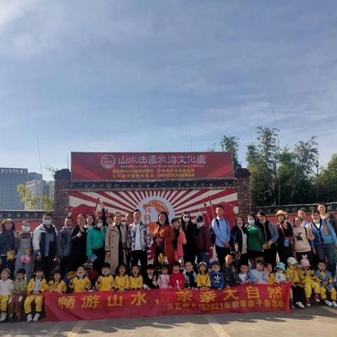 大雁往南飞的美篇