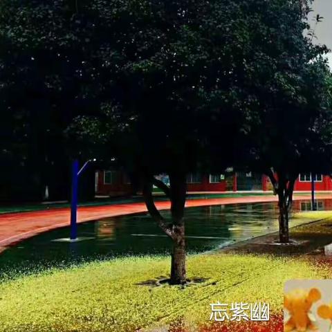金秋时节，教研如花绽放。
