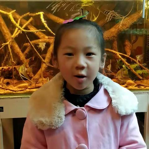 书香润童心 阅读伴成长——苗二班故事分享活动