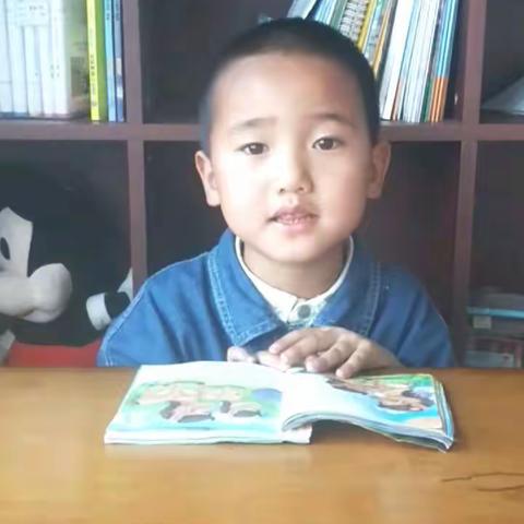 书香润童心 阅读伴成长——苗二班故事分享活动