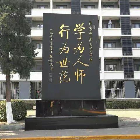 （一组）京师悟道――全面提升幼儿教师核心素养