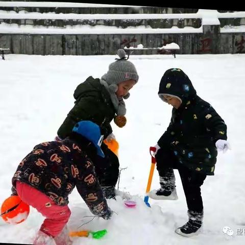 跨年大雪记（二）