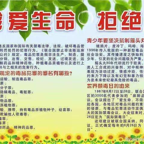 “珍爱生命，远离毒品”主题活动——北午芹小学