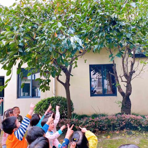 甜蜜 桂花蜜🐝