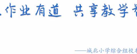 聚焦作业有道  共享教学智慧 —— 城北小学第七次校本培训（综合组）