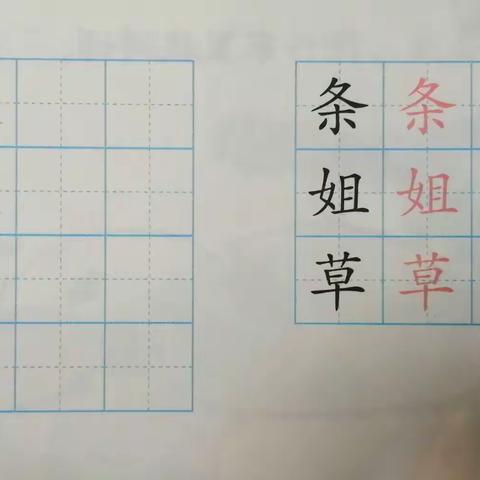 一起来写字