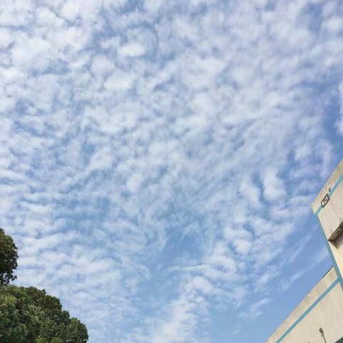 三年级成长手册––许宸（上）