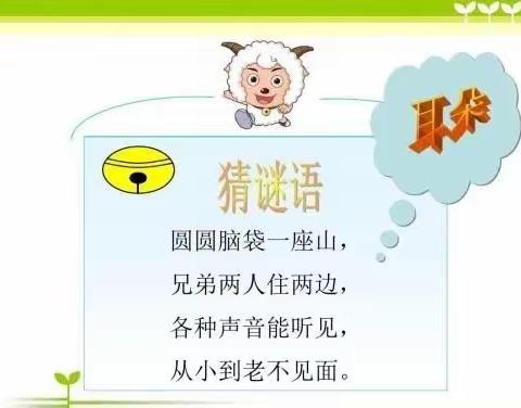 重视听力，爱护耳朵--孔雀幼儿园开展“爱耳日”主题活动
