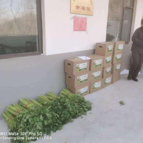 春节到来之际，断岧村第一书记为村民发放蔬菜