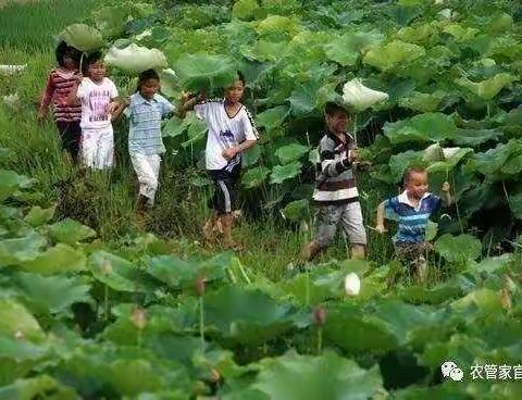 松柏蒙特梭利幼儿海洋家—我们是大自然的孩子！