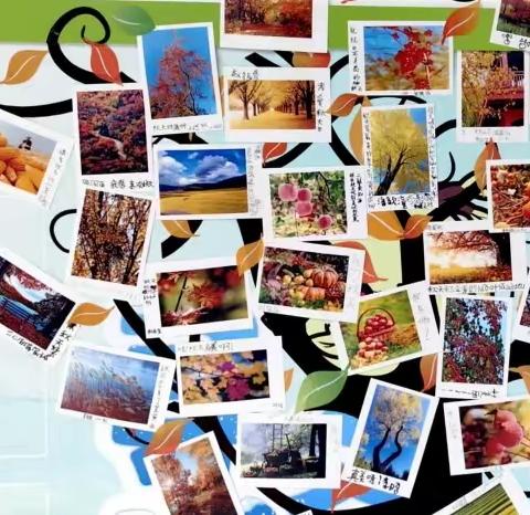 “寻找冬天”主题班级文化建设活动总结