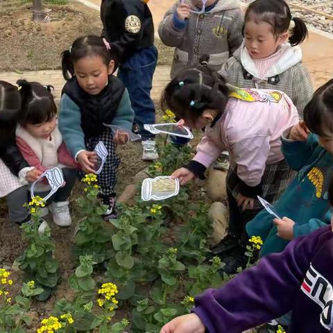 你好，植物