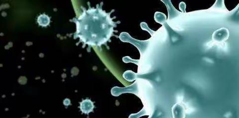 【健康指南】新型冠状病毒肺炎的预防——和乐幼儿园