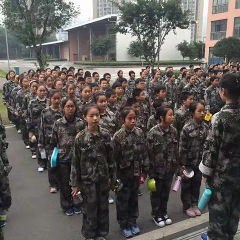 致研学旅行的我们