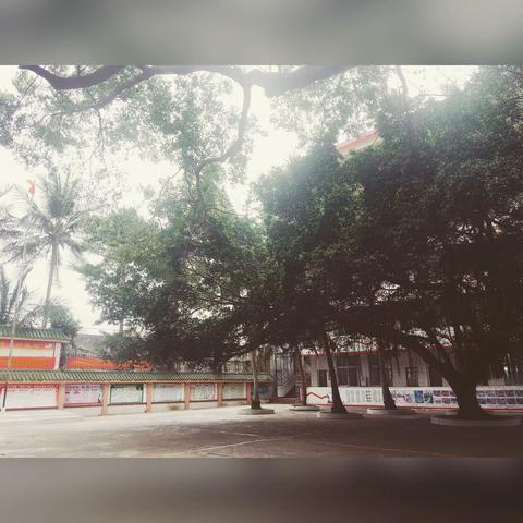 “相信你们就是我的骄傲”——2018-2019年二（6）班第二学期小结