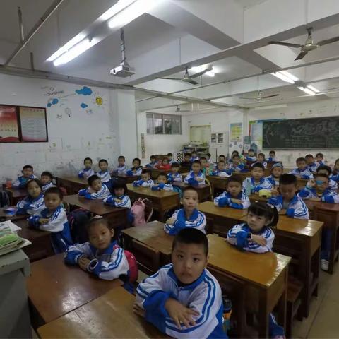 走，我们一起去秋游！——记海师实小一（6）班社会实践活动（一）