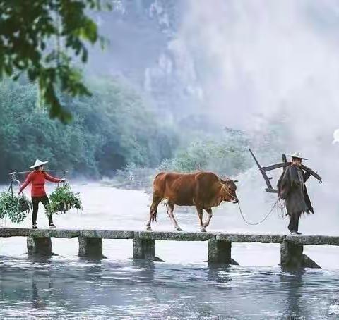 清晨，小山村里的浪漫