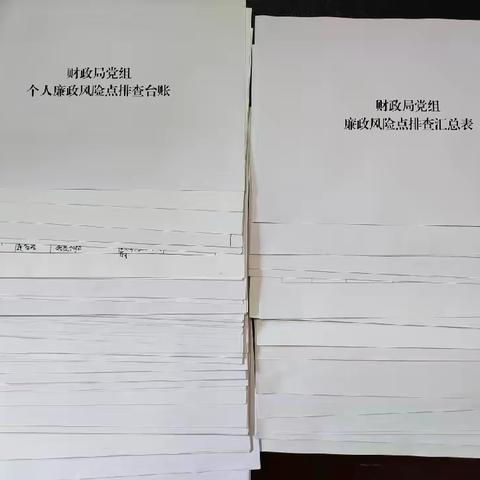 财政局党组开展系列活动落实政治监督责任