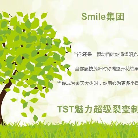 TST2019超级裂变新制度