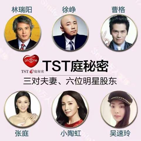 TST2017年大事件回顾