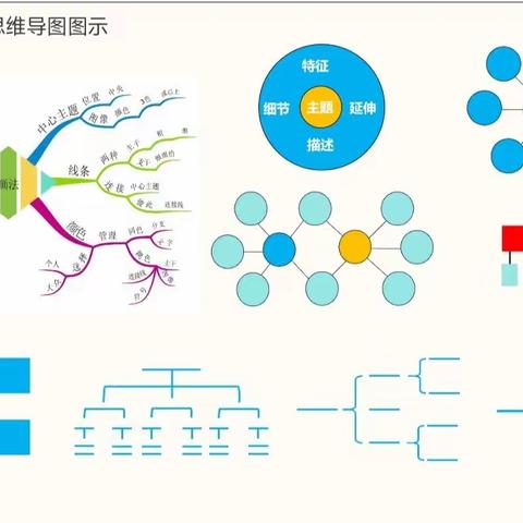 行知小学思维导图绘本助学社团招生啦！