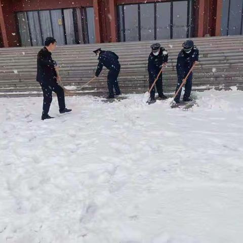 韩城市梁带村芮国遗址博物馆开展应对雨雪等极端天气安全排查工作
