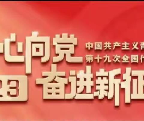 农业银行朔州市分行团委举办“高扬理论旗帜·青年踔厉奋发”主题团日活动