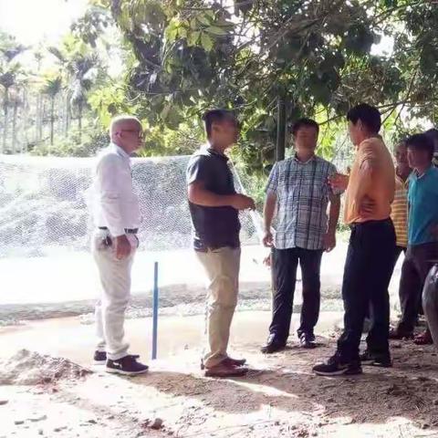 龙州村工作队组织外出考察学习乡村产业建设