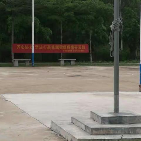 龙州村开展非洲猪瘟防控工作