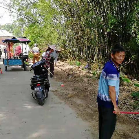 龙州村委会开展巩固省级卫生县城复审环境卫生整治工作