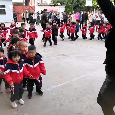 金山小学幼儿园小班开放课