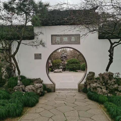 杭州植物园灵峰探梅