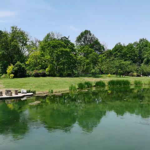 西湖美景之太子湾公园