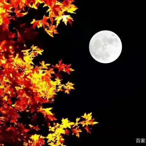 七律.遣怀     胡中军